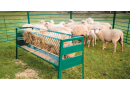 Parideras de metal para ovejas: Seguridad y resistencia